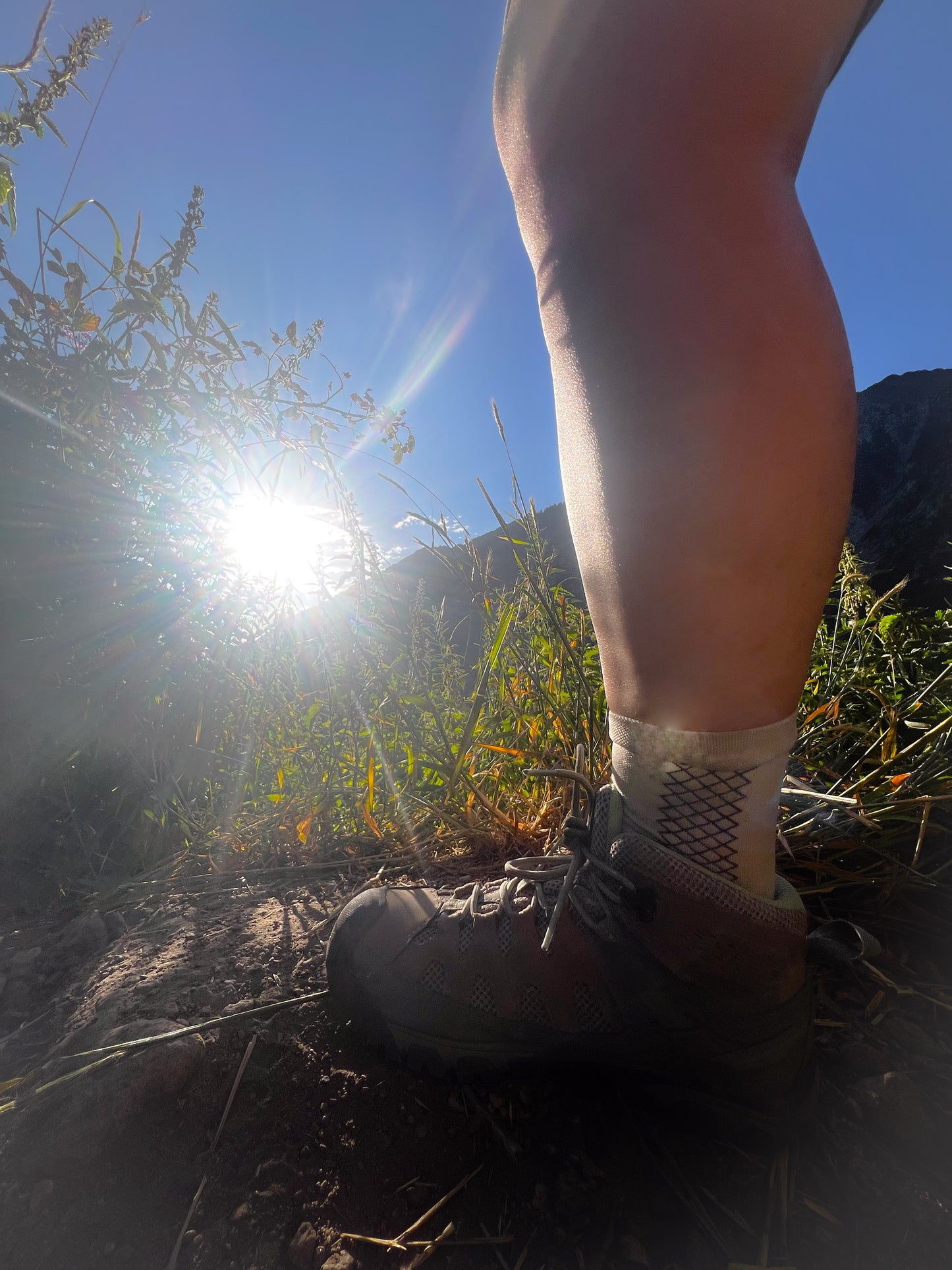 Cafecito Hiking Socks