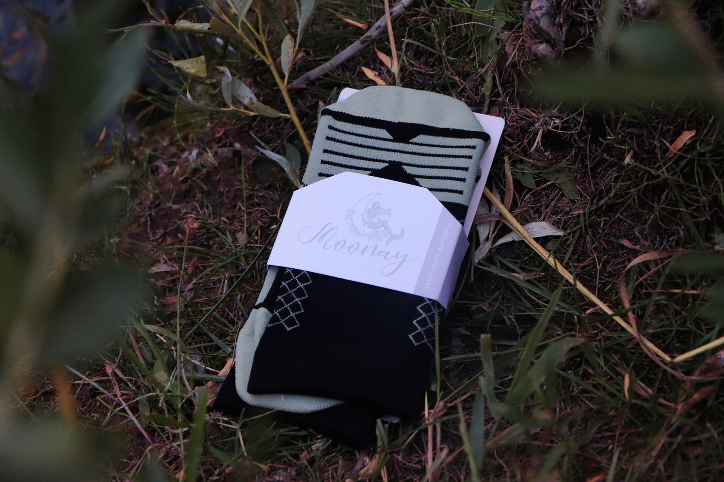 Moonay packaged enchanted forest