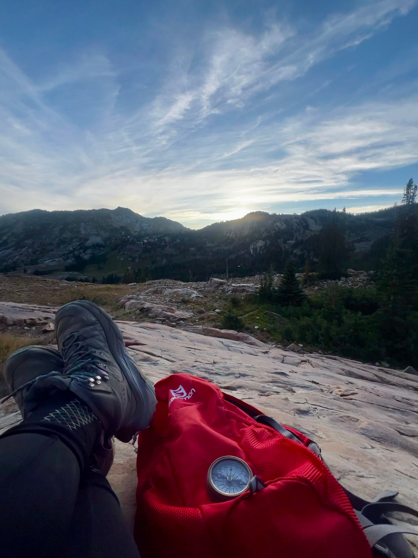 Enchanted Forest Hiking Socks