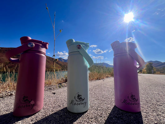 Botella Termica 18 oz